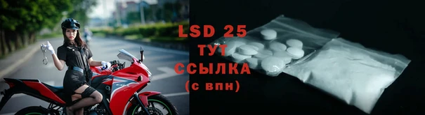 гидропоника Горнозаводск