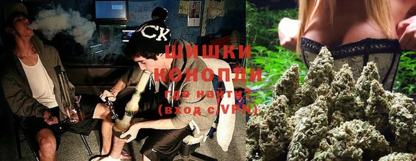 гидропоника Горнозаводск