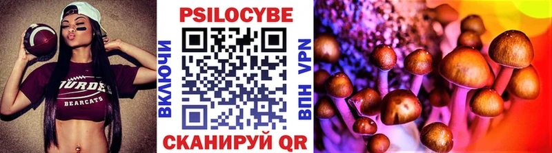 Псилоцибиновые грибы GOLDEN TEACHER  Слюдянка 